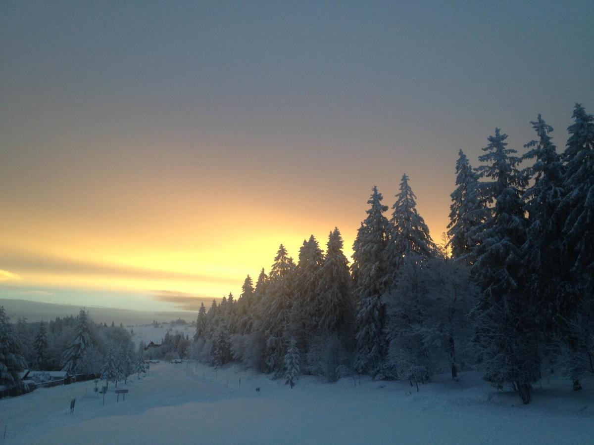 Les Gites De La Serva - Champ Du Feu - Montagnes- Vosges Belmont  Bagian luar foto