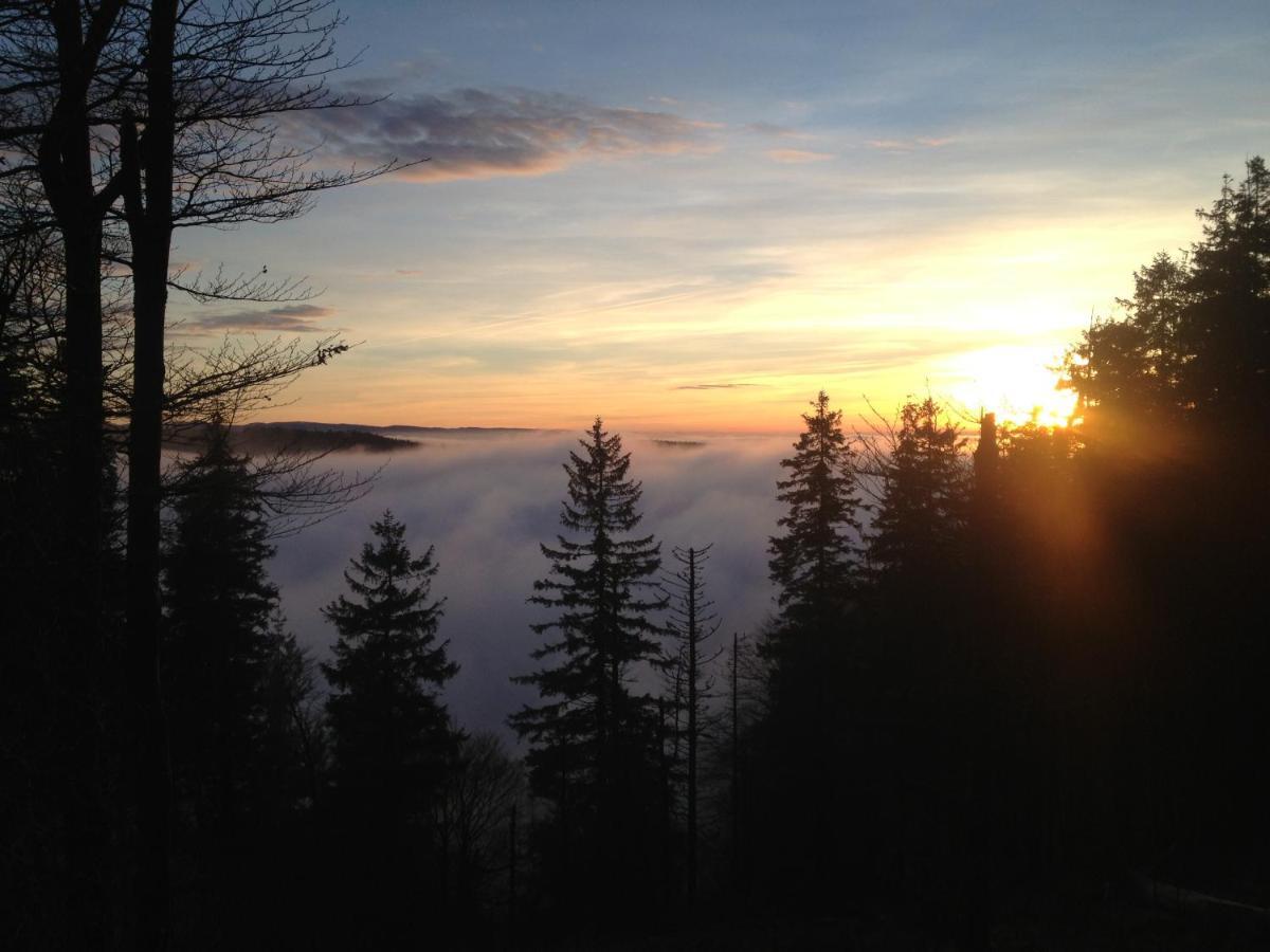Les Gites De La Serva - Champ Du Feu - Montagnes- Vosges Belmont  Bagian luar foto