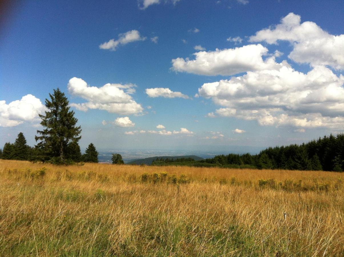 Les Gites De La Serva - Champ Du Feu - Montagnes- Vosges Belmont  Bagian luar foto